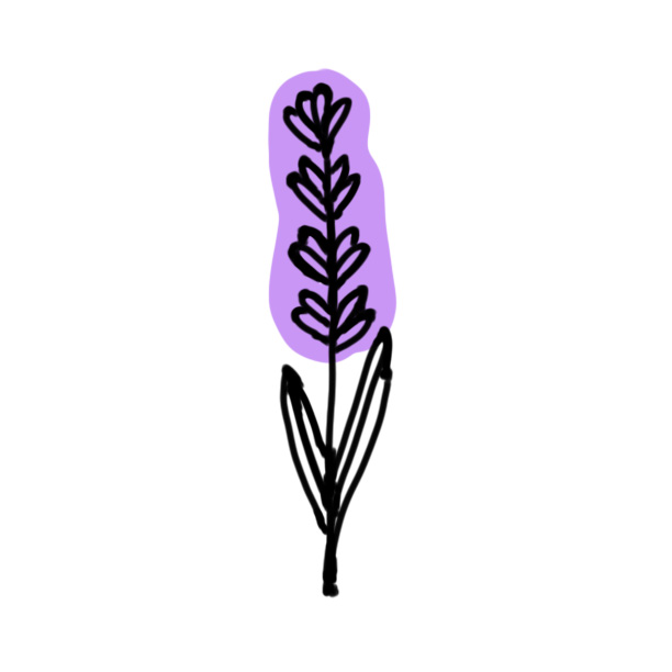 a graphic drawing of a lavender flower